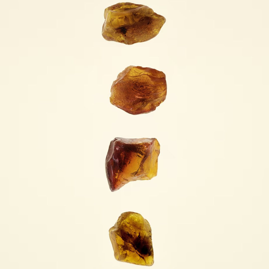 Burberry | Amber Heath Eau De Parfum (100Ml) - Free & Fast UAE Shipping