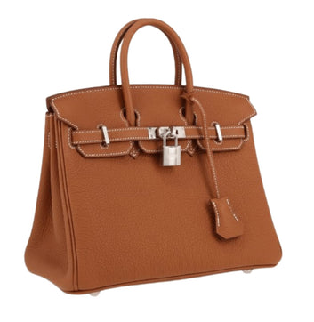 Hermès | Birkin 25 Bag In Gold Togo Leather With Palladium (silver) Hardware - Free & Fast UAE Shipping