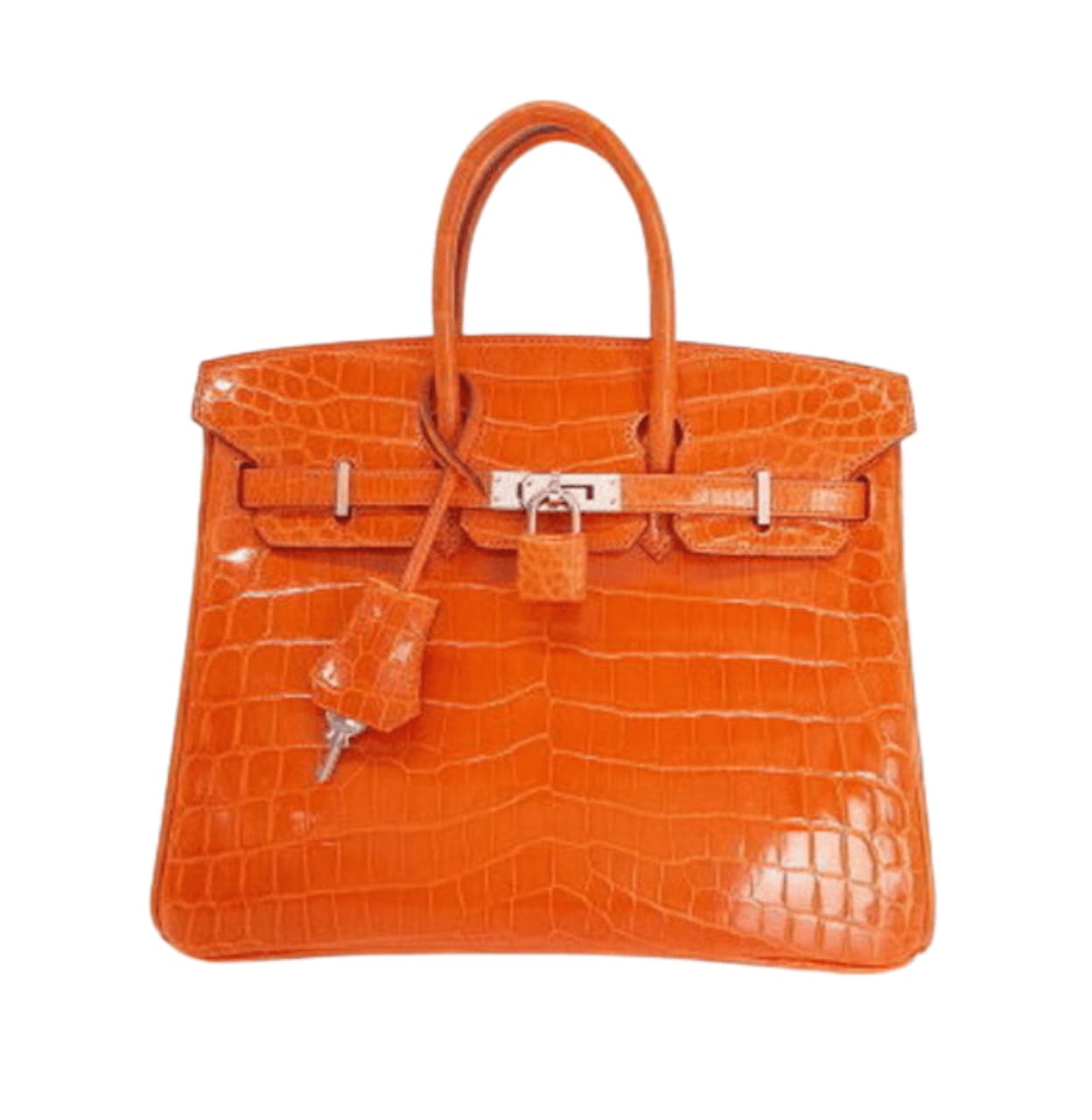Hermès | Birkin Crocodile - Free & Fast UAE Shipping