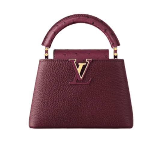 Louis Vuitton | Capucines East-west Mini Bag In Crinkled Grenat Red Leather With Gold-toned Hardware - Free & Fast UAE Shipping