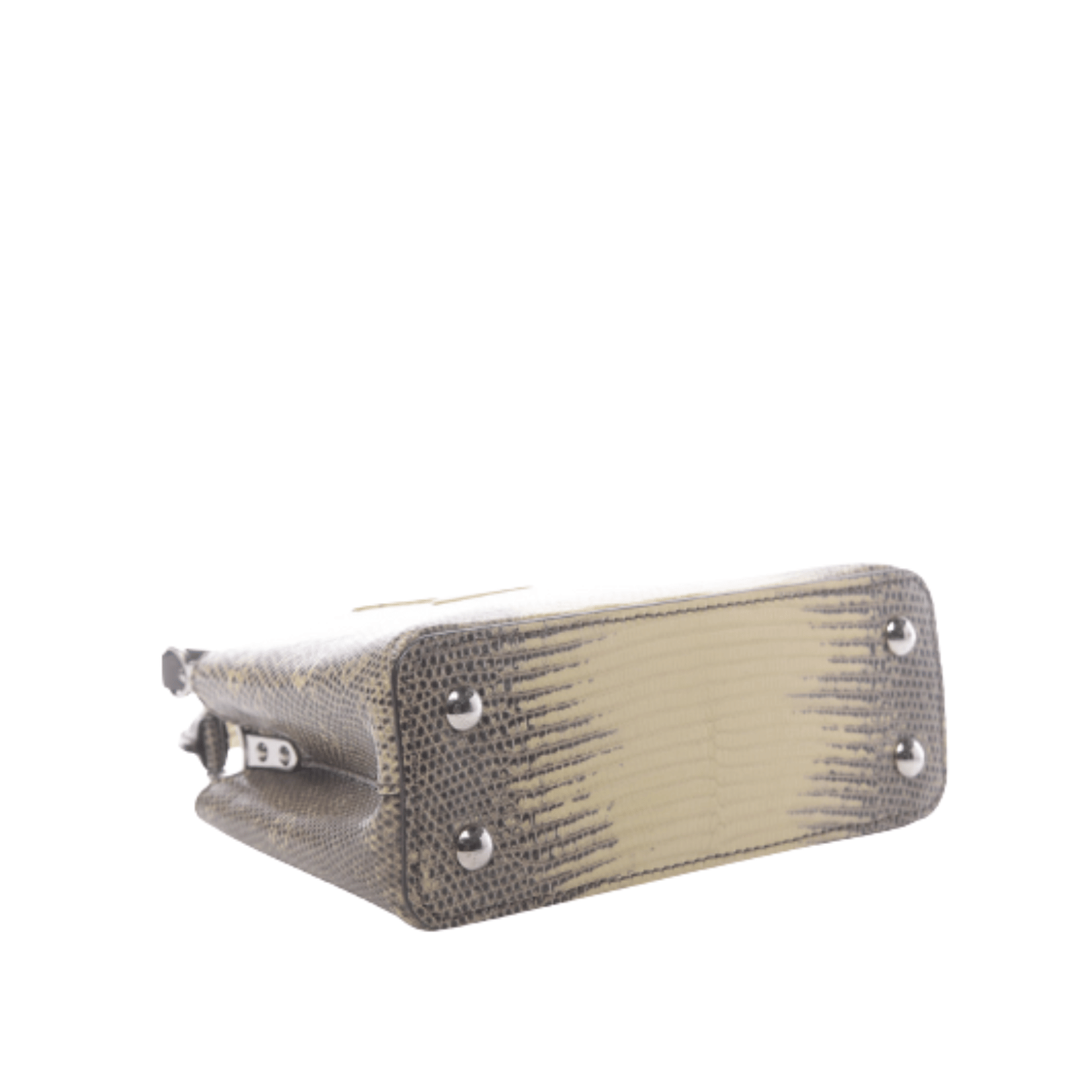 Louis Vuitton | Capucines Lizard Bag - Free & Fast UAE Shipping