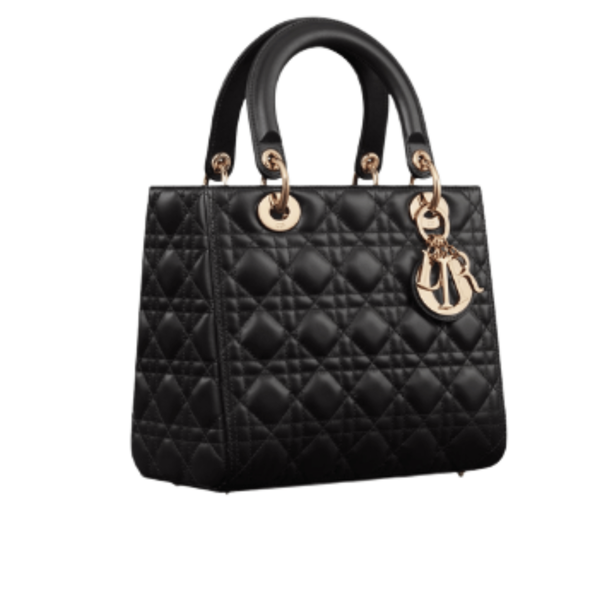 Dior | Lady Dior Bag In Lambskin Leather - Free & Fast UAE Shipping