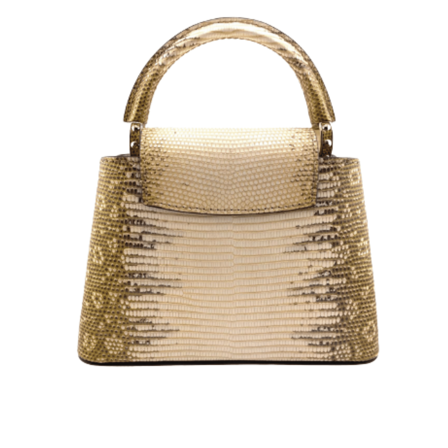 Louis Vuitton | Capucines Gold-colored Snakeskin - Free & Fast UAE Shipping